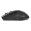 Rato ASUS WT425 escritório destro RF sem fios ótico 1600 DPI