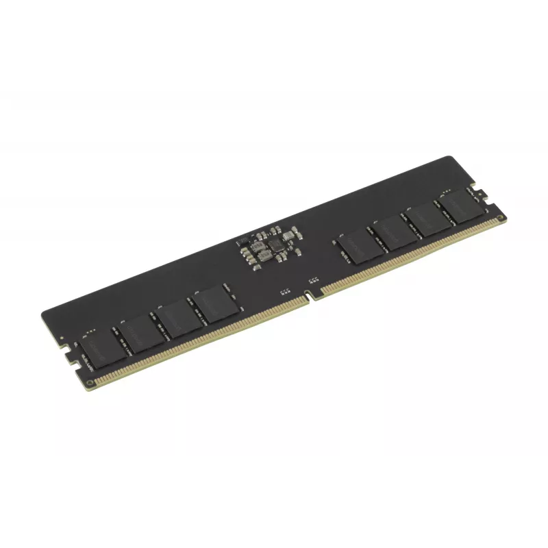 Goodram Pami DDR5 16GB/4800 CL40 - 16 GB módulo de memória 1 x 16 GB 288-Pin DIMM ECC