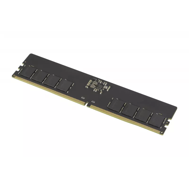 Goodram Pami DDR5 16GB/4800 CL40 - 16 GB módulo de memória 1 x 16 GB 288-Pin DIMM ECC