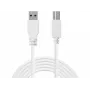 Sandberg cabo USB 3.0 A-B 1,8 m, 1,8 m, USB A, USB B, USB 3.2 Gen 1 (3.1 Gen 1), 5 Gbit/s, branco