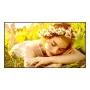 Ecrã de sinalização digital LG 86UL5Q-E ecrã plano 2,18 m (86