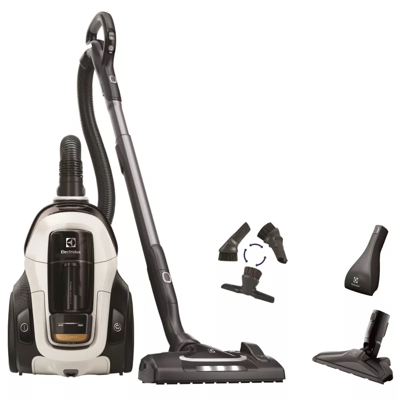 Aspirador de pó Electrolux PC91-ALRG sem saco seco 650 W