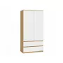 Guarda-roupa top e shop MALWA SS-90, 900×500×1800 mm, corpo carvalho Artisan, portas de batente brancas, 2 gavetas, aglomerado