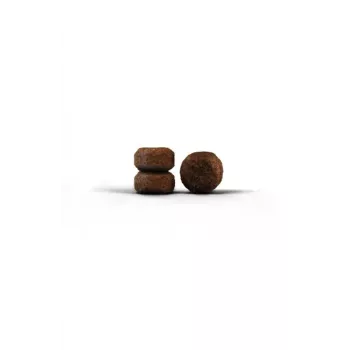 Alimento seco Josera Senior Cats 10 kg milho fígado arroz