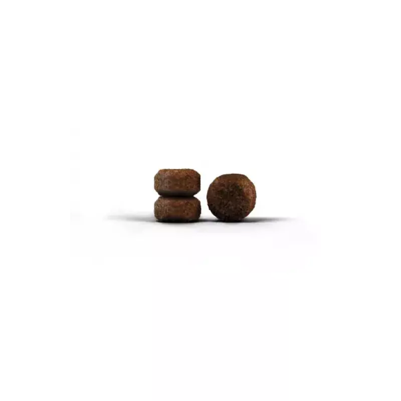 Alimento seco Josera Senior Cats 10 kg milho fígado arroz