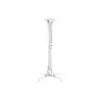 Suporte de teto Multibrackets M Universal Projector Mount I