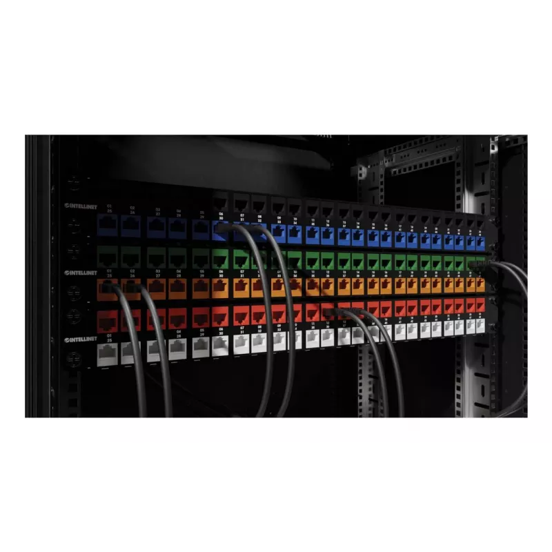 Módulo Keystone Intellinet 791304