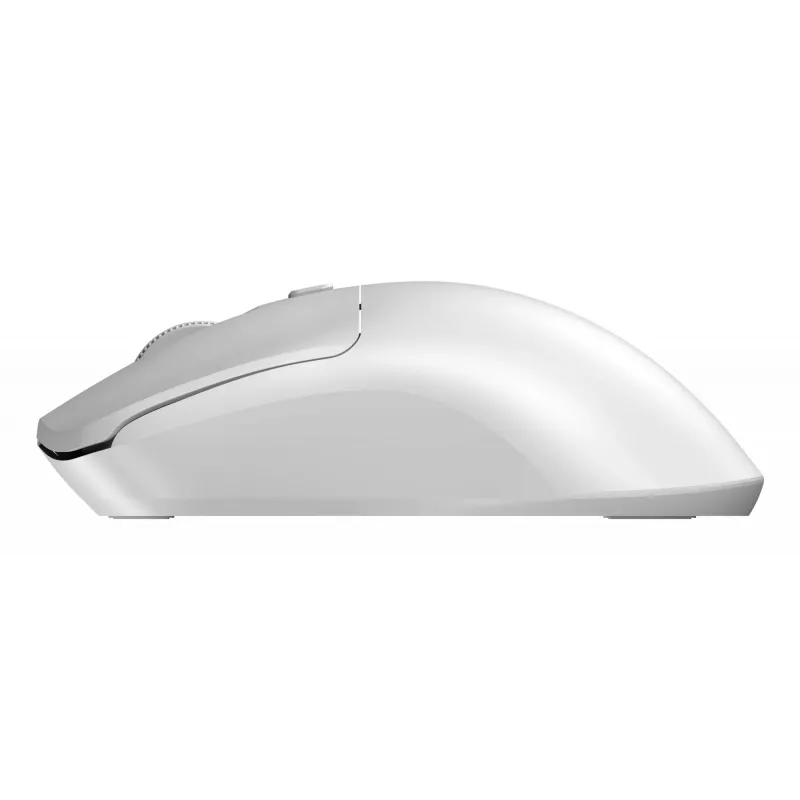 Rato sem fios Sandberg Saver branco, ambidestro, RF Wireless, 1600 DPI, branco
