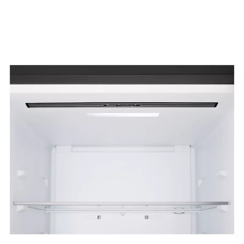 Combinado frigorífico-congelador LG GBBSJ10EEP de instalação livre 333 L preto