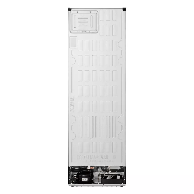 Combinado frigorífico-congelador LG GBBSJ10EEP de instalação livre 333 L preto