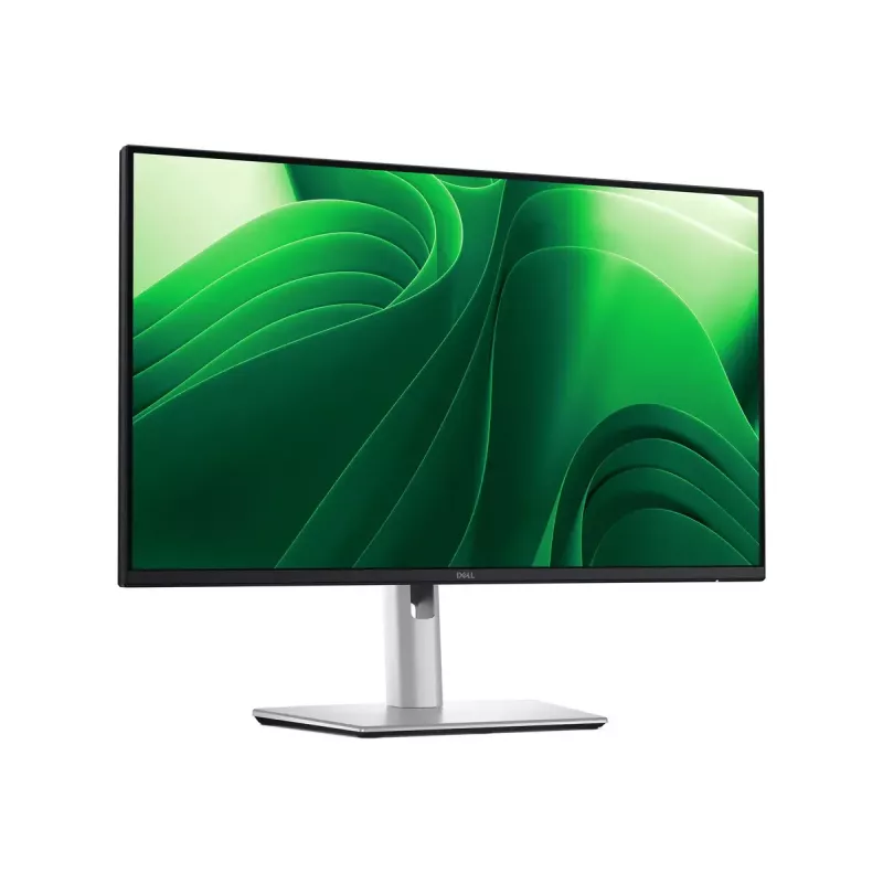 Dell | P2425D | 24
