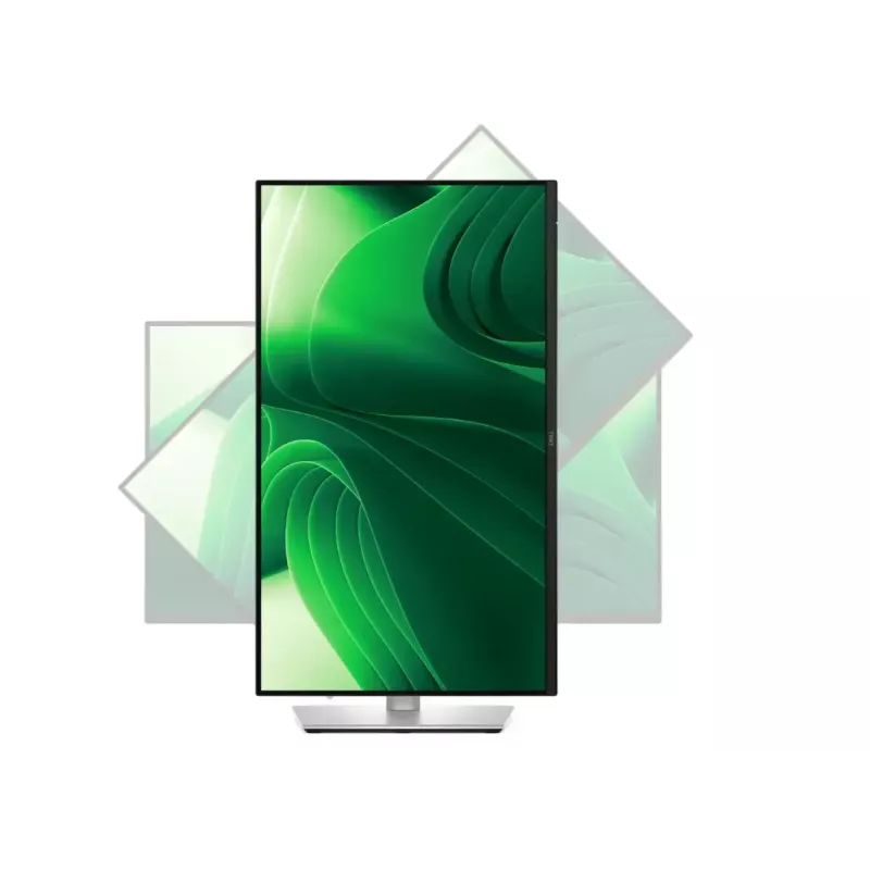Dell | P2425D | 24