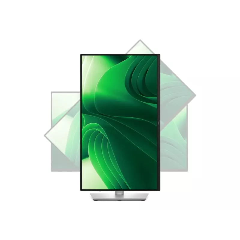 Dell | P2425D | 24