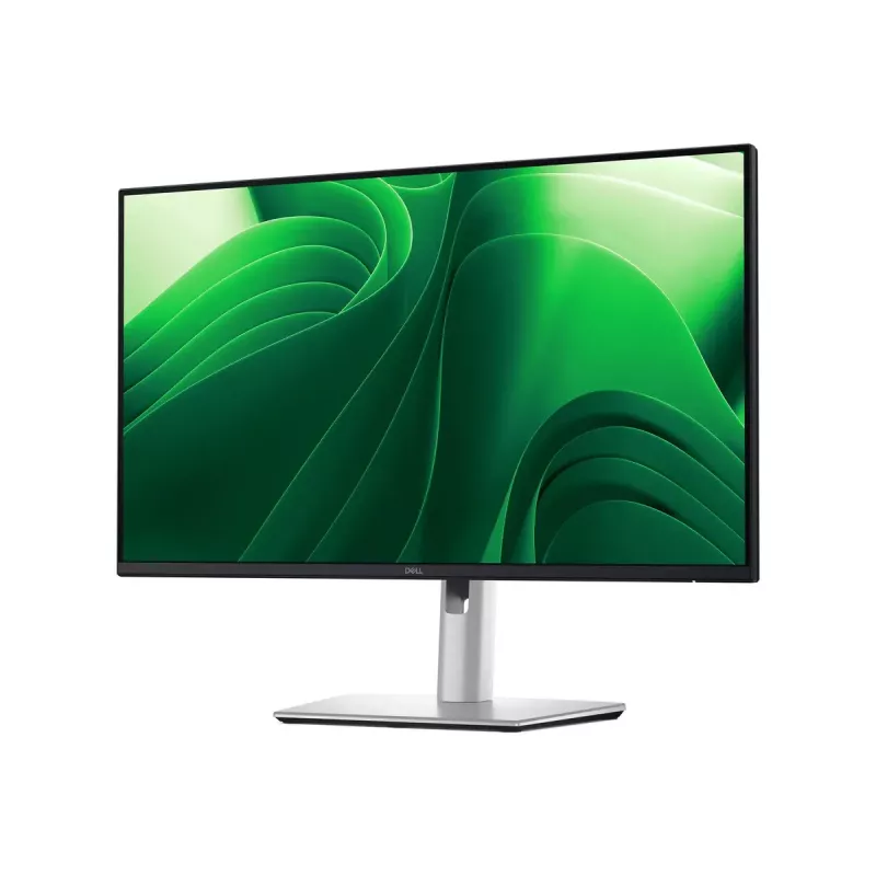 Dell | P2425D | 24