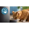 Philips PAW5320/02 5000 series comedouro inteligente com câmara