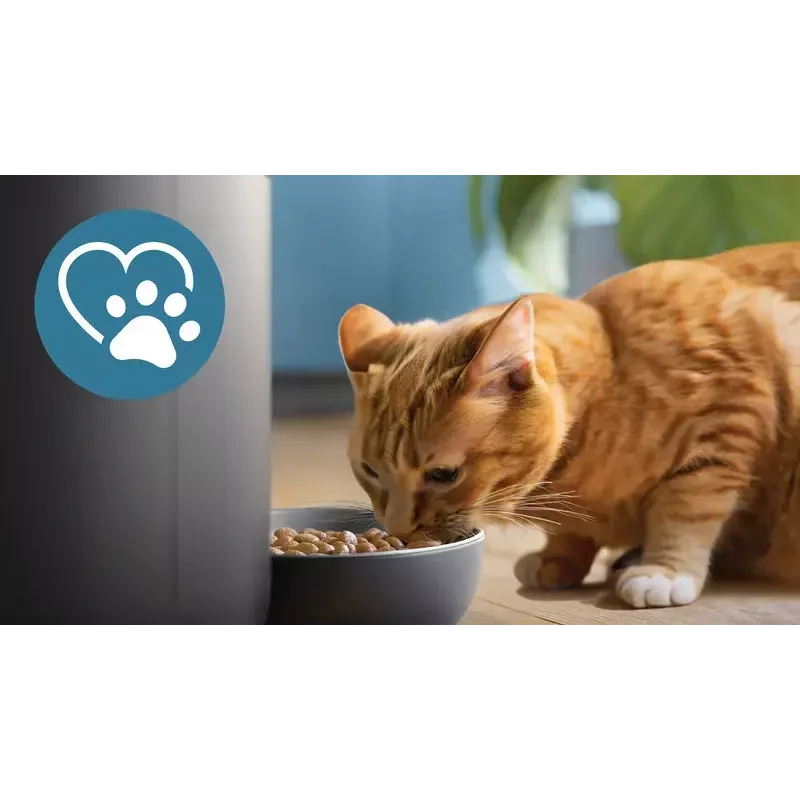 Philips PAW5320/02 5000 series comedouro inteligente com câmara