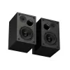 GENESIS NGS-2343 Altifalante Preto Com fios & Sem fios 20 W