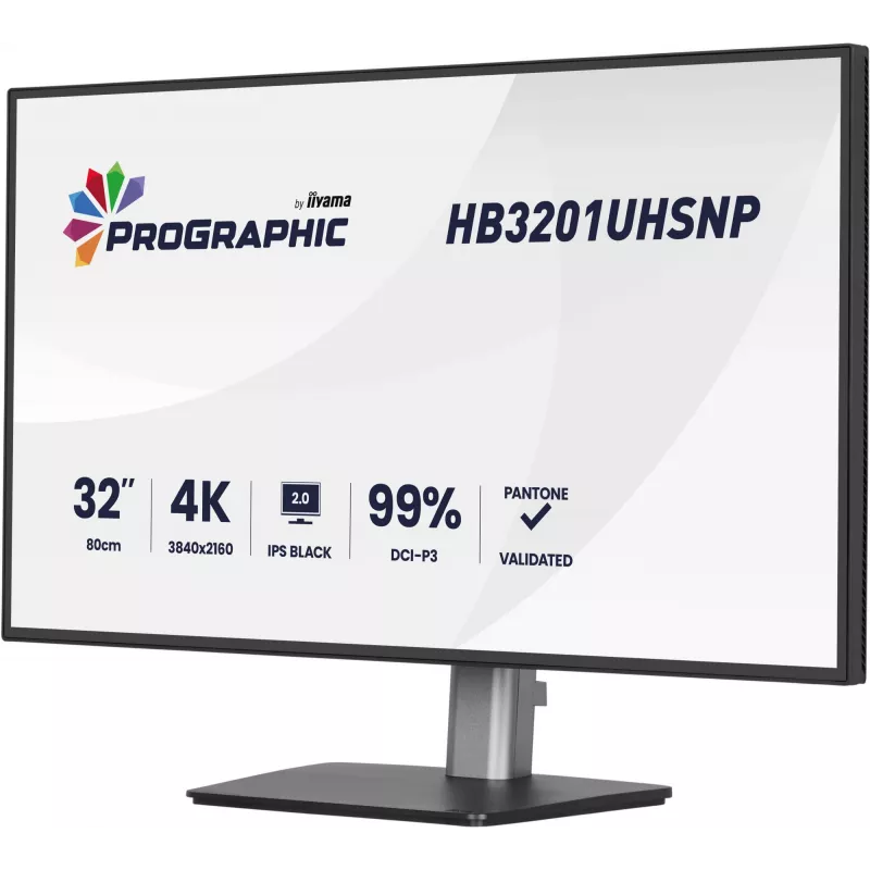 Monitor LCD IIYAMA 32 polegadas ProGraphic HB3201UHSNP-B1 4K UHD IPS com USB-C e DisplayPort