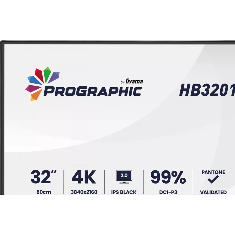 Monitor LCD IIYAMA 32 polegadas ProGraphic HB3201UHSNP-B1 4K UHD IPS com USB-C e DisplayPort