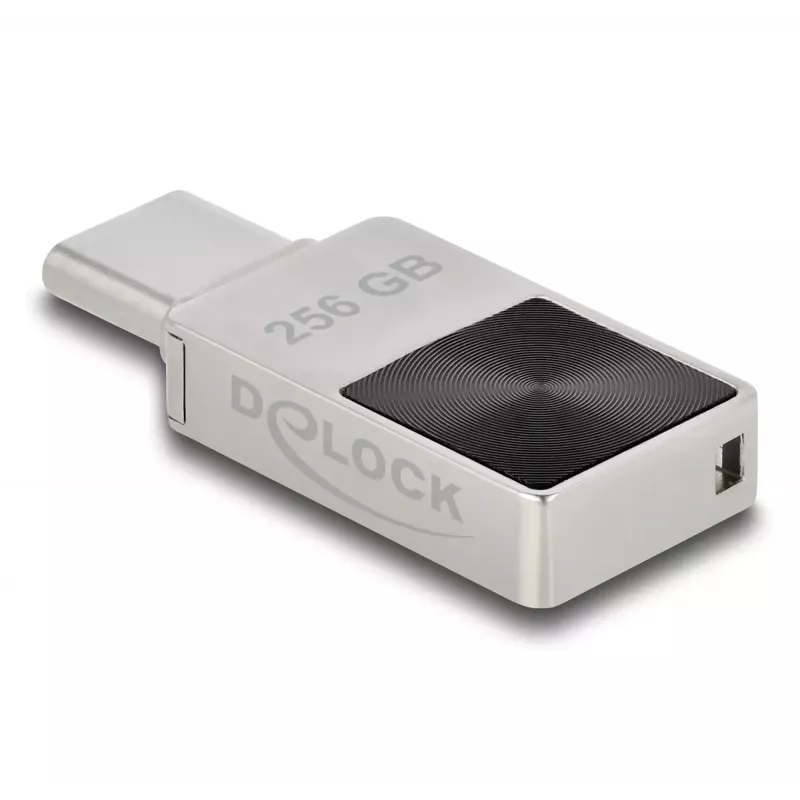 Pen USB DeLOCK 256GB USB-C 3.2 Gen 1 caixa metálica