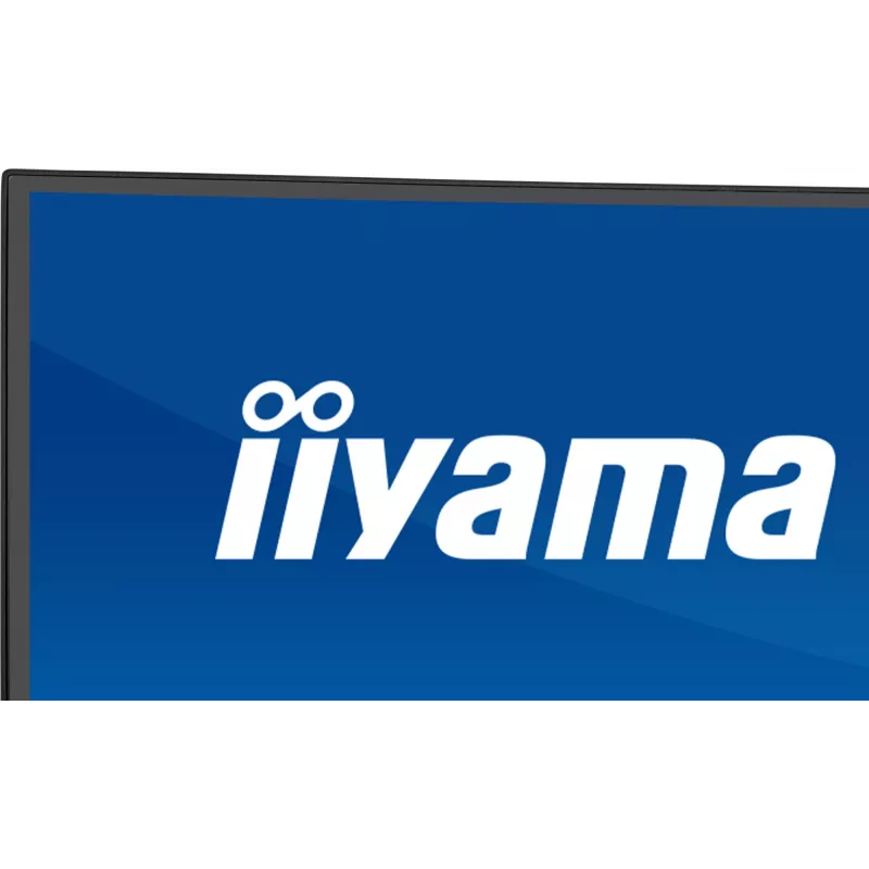 Monitor de computador IIYAMA XCB4594DQSU-B1 44
