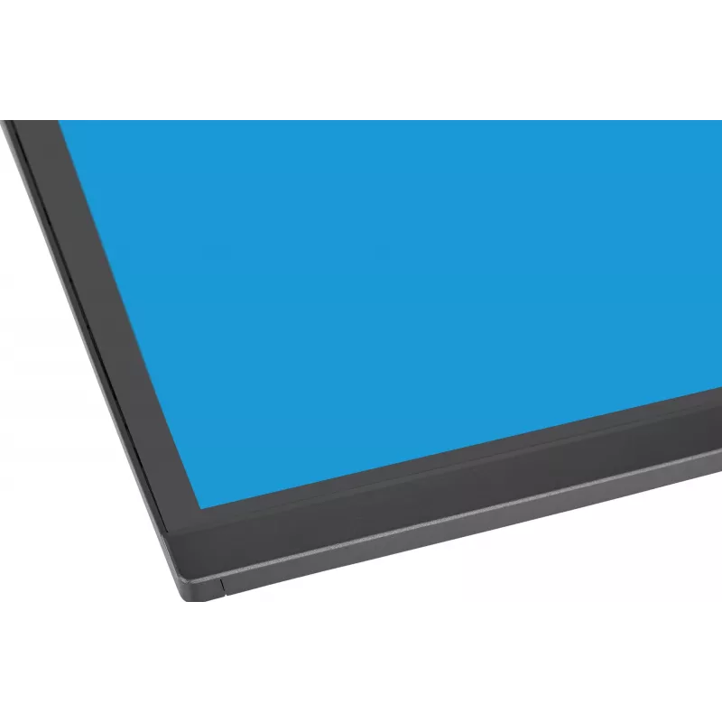 Monitor de computador IIYAMA XCB4594DQSU-B1 44