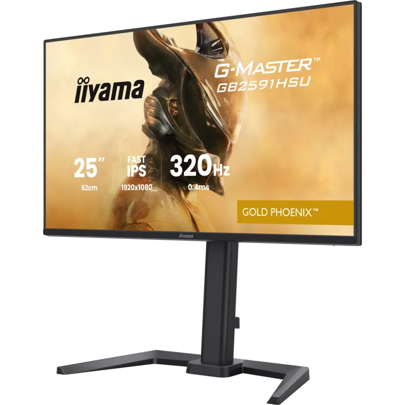 Monitor gaming IIYAMA G-Master GB2591HSU-B1 24,5