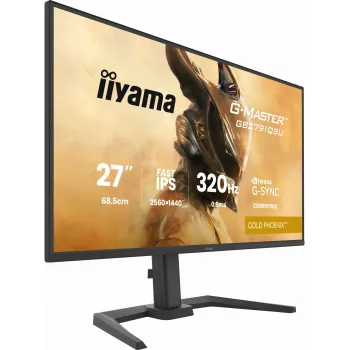Monitor gaming IIYAMA GB2791QSU-B1 68,6 cm (27