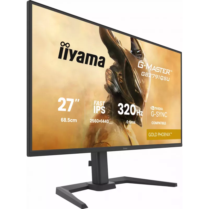 Monitor gaming IIYAMA GB2791QSU-B1 68,6 cm (27