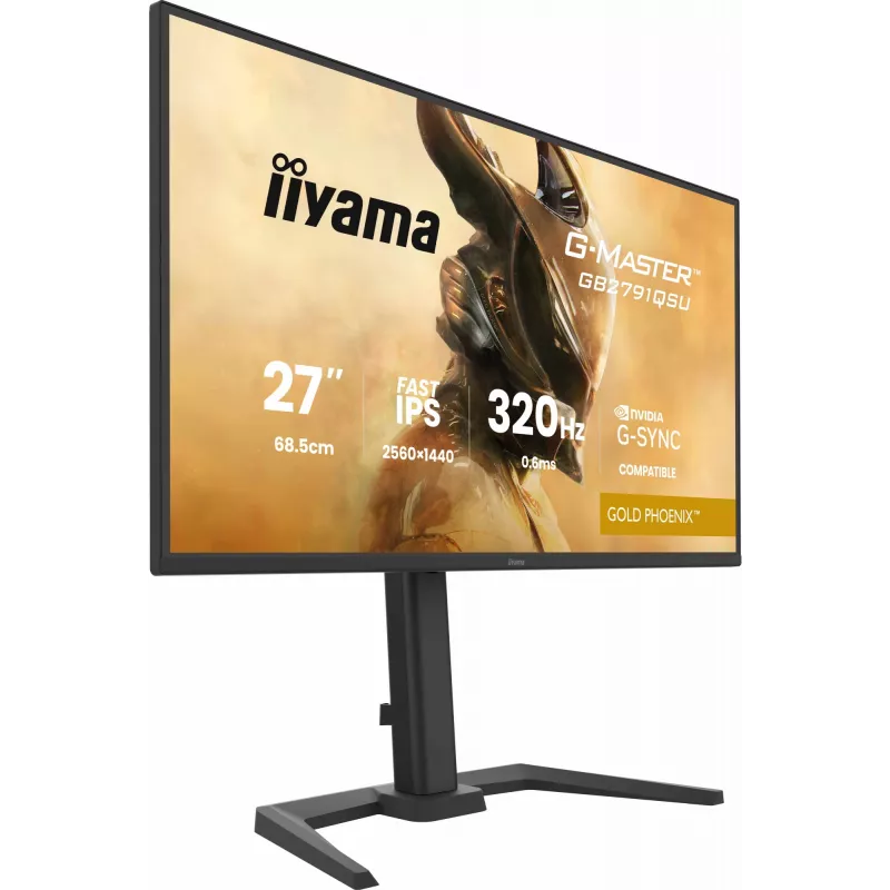 Monitor gaming IIYAMA GB2791QSU-B1 68,6 cm (27