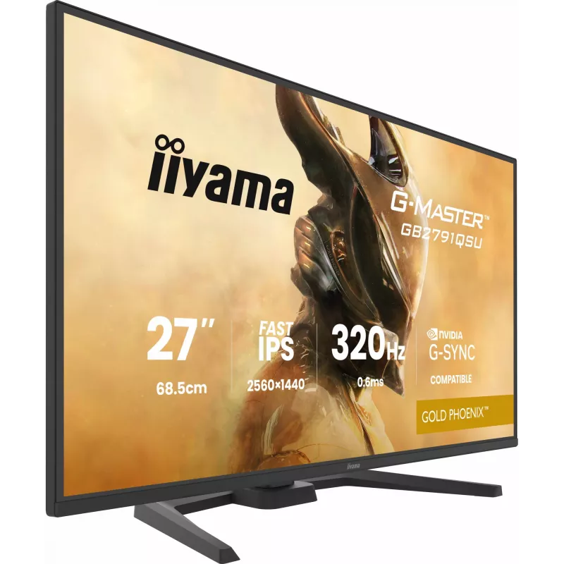 Monitor gaming IIYAMA GB2791QSU-B1 68,6 cm (27