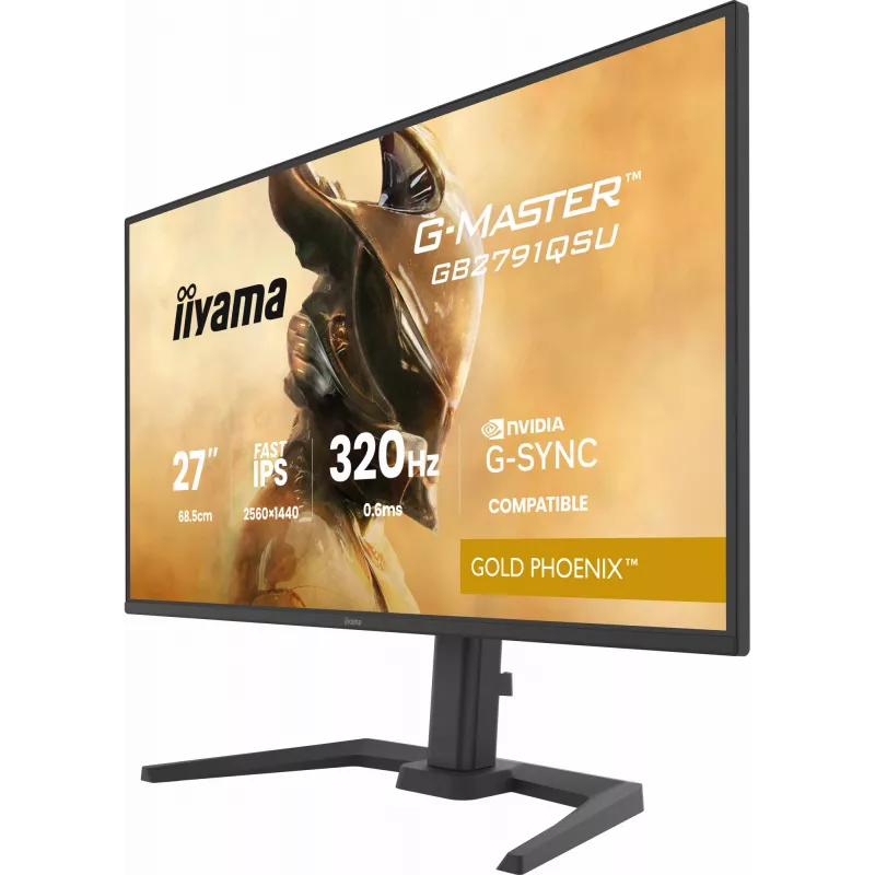 Monitor gaming IIYAMA GB2791QSU-B1 68,6 cm (27