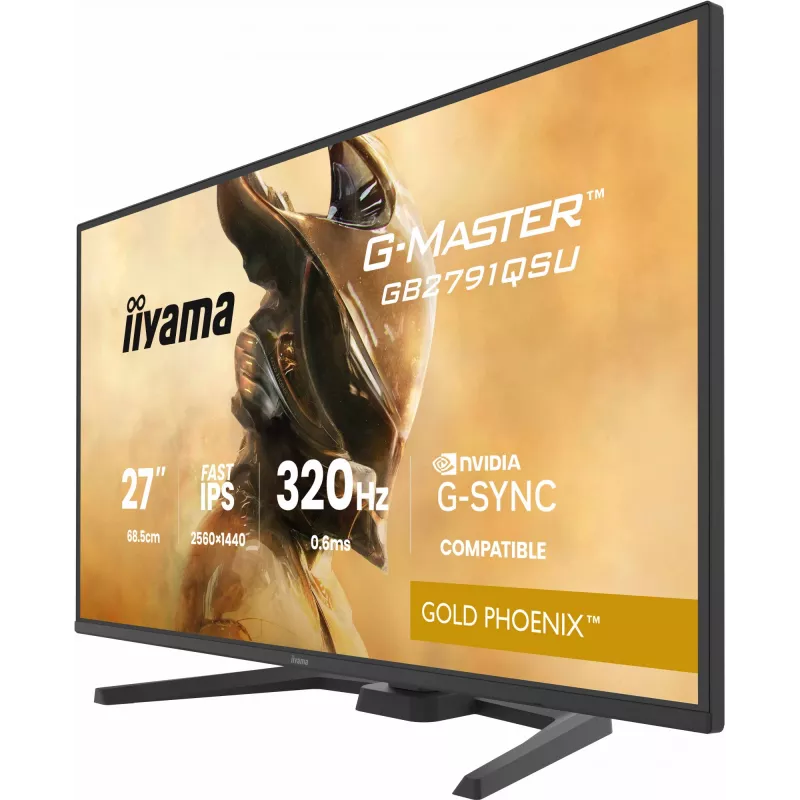 Monitor gaming IIYAMA GB2791QSU-B1 68,6 cm (27