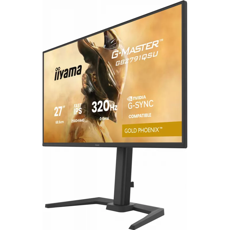 Monitor gaming IIYAMA GB2791QSU-B1 68,6 cm (27