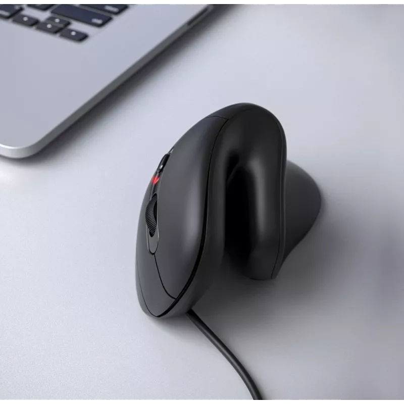 Equip 245119 Rato universal destro USB Type-A + USB Type-C ótico 7200 DPI