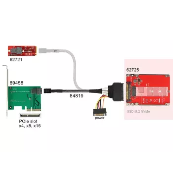 Placa de interface DeLOCK 62725 interna M.2