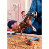 schleich HORSE CLUB Aventura western da Hannah, 5 ano(s), cavalos, multicolor, plástico