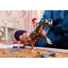 schleich HORSE CLUB Aventura western da Hannah, 5 ano(s), cavalos, multicolor, plástico