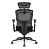 Cadeira de escritório Sharkoon OfficePal C50 — assento acolchoado, encosto em rede, encosto 49×62 cm, largura do assento 50 cm, preta