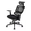 Cadeira de escritório Sharkoon OfficePal C50 — assento acolchoado, encosto em rede, encosto 49×62 cm, largura do assento 50 cm, preta