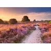 Puzzle Ravensburger Pink Pathway Países Baixos, 1000 peças, 700×? mm, 2 mm de espessura