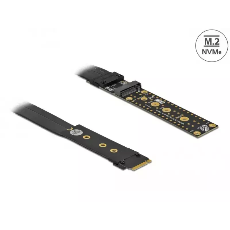Placa riser M.2 Key M DeLOCK 64136