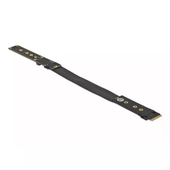 Placa riser M.2 Key M DeLOCK 64136