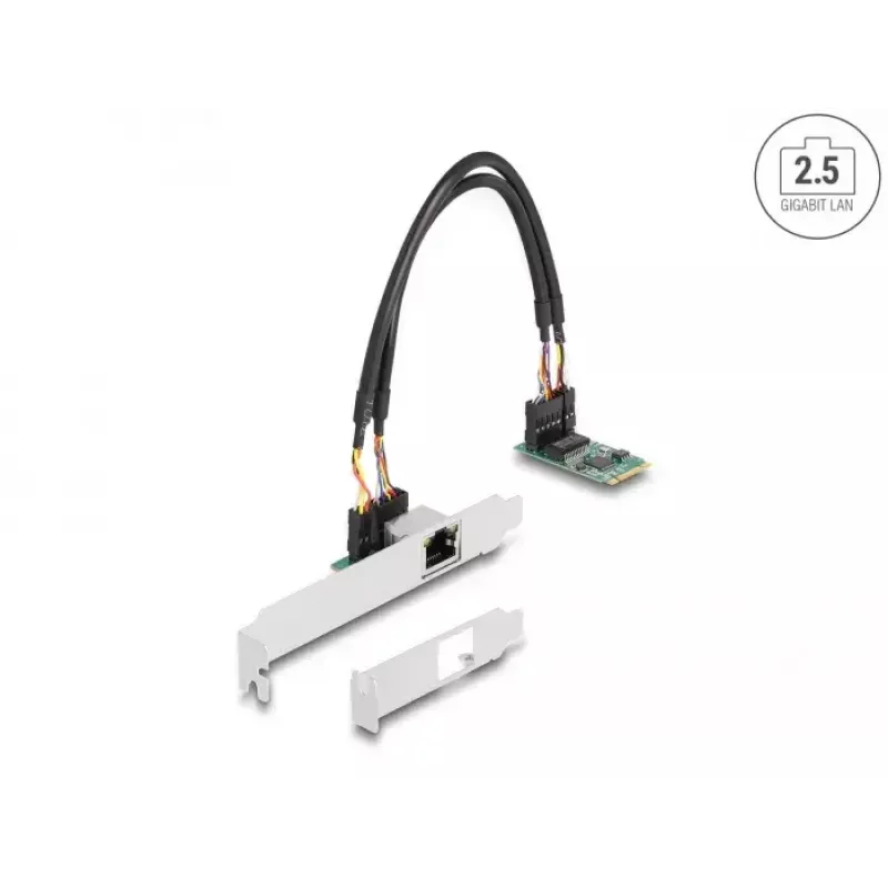 DeLOCK 95272 Placa de rede interna 2500 Mbit/s com fios M.2 Ethernet