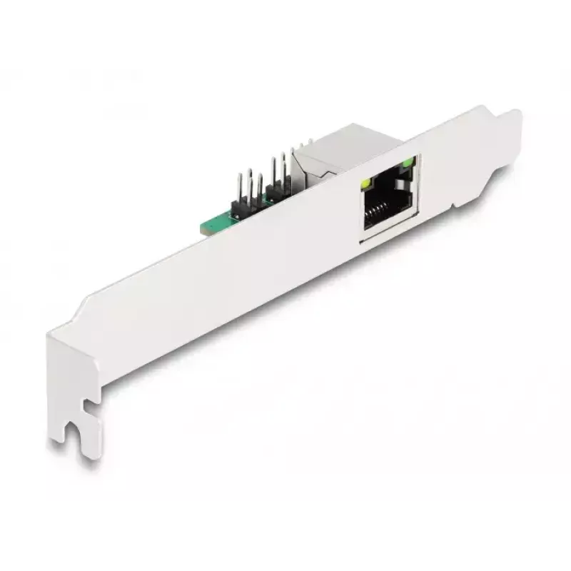 DeLOCK 95272 Placa de rede interna 2500 Mbit/s com fios M.2 Ethernet