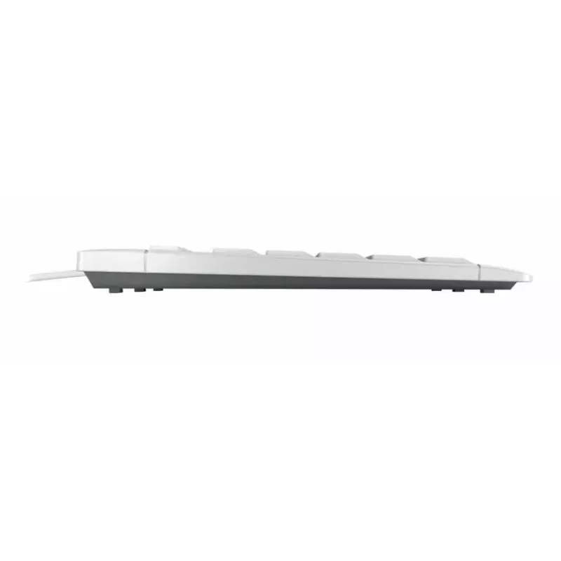 Cherry STREAM KEYBOARD, tamanho completo