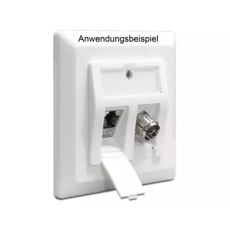 Caixa de embutir DeLOCK 86202