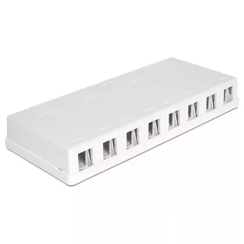 DeLOCK 86209 caixa Keystone de superfície, 8 portas, branco