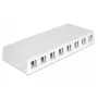 Tomada DELOCK 86209 branco