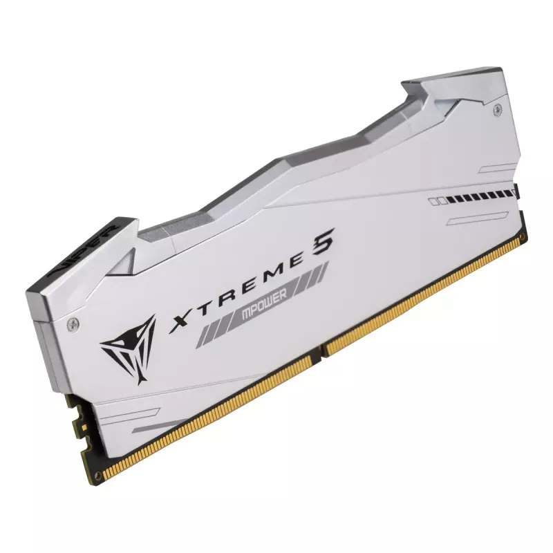Patriot Viper Gaming RGB XTREME 5 DDR5-6000 RAM, CL 30, Intel XMP 3.0 - 48GB Dual-Kit, prateado